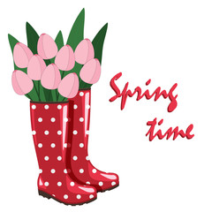 Red rubber boots with pink tulips in them and text "Spring time". Spring illustration. Seasons greeting.
