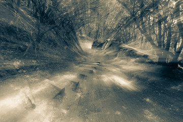 Zeittunnel in einem Waldpfad in schwarz-weiß
