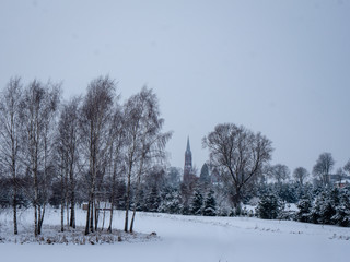 winter landscape with snowed trees and a church in background