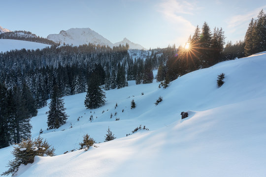 Gr&uuml;essech im Naturpark Gantrisch!