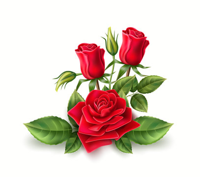 Vector 3d realistic red rose elegant bouquet