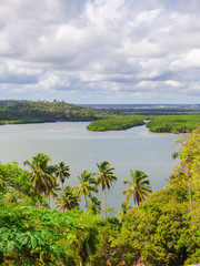 Fototapeta na wymiar A view of the Atlantic Forest and the Atlantic Ocean from Vila Velha - Ilha de Itamaraca, Brazil