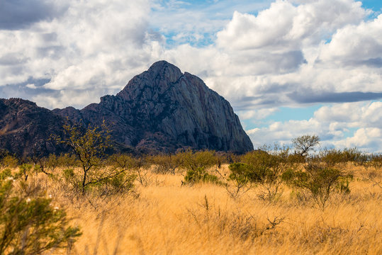 Madera Canyon Arizona