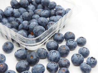 Fresh blue berries isolated on white background