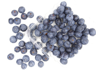 Fresh blue berries isolated on white background