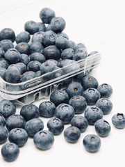 Fresh blue berries isolated on white background