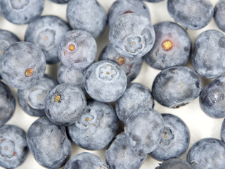 Fresh blue berries isolated on white background