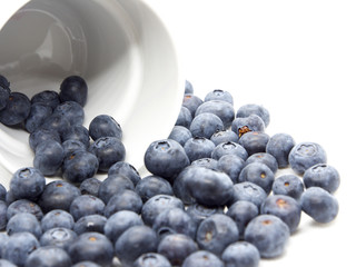 Fresh blue berries isolated on white background