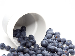Fresh blue berries isolated on white background