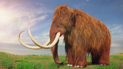 Obraz premium mamut włochaty, prehistoryczne zwierzę w krajobrazie tundry (ilustracja 3d)