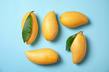 Flat lay composition with mango fruits on color background