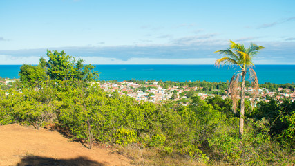 Fototapeta premium A view of Itamaraca island from a hill - atlantic forest and atlantic ocean in the background (Ilha de Itamaraca, Brazil)