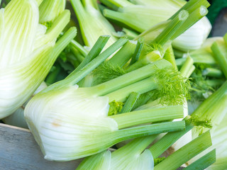 Fresh Florence fennel bulbs or Fennel bulb in the market. Healthy and benefits of Florence fennel bulbs