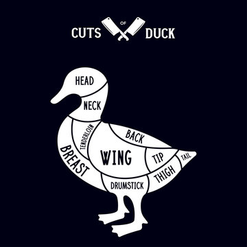 Meat cuts - duck. Diagrams for butcher shop. Scheme of duck. Animal silhouette duck. Guide for cutting.