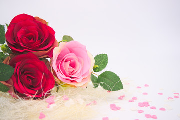 Image for valentines day on white background