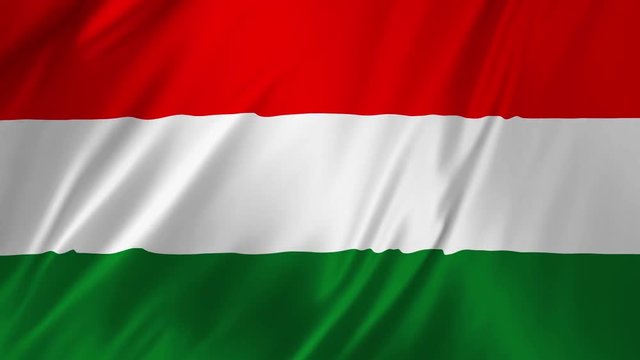 Flag of Hungary gently waving in the wind 2 in 1