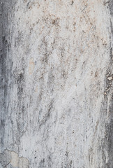 High resolution full frame background of a rough, weathered, damaged and dirty plastered light gray wall.