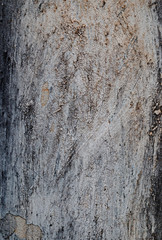 High resolution full frame background of a rough, weathered, damaged and dirty plastered dark gray wall.