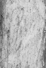 High resolution full frame background of a rough, weathered, damaged and dirty plastered wall in black and white.