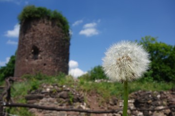 Burgfrühling