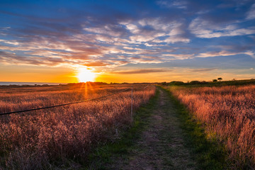 Beautiful sunset over the field with coastline footpath, colorful grassland, and cloudy blue sky with sun rays