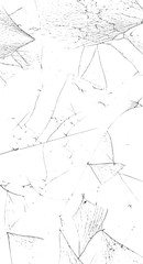 Broken glass on white background , texture backdrop object design