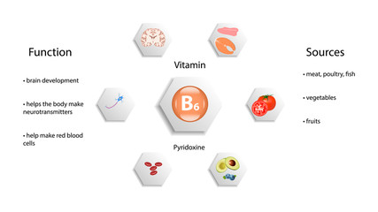 Vitamin B6 vector design. Vitamin B6 function and sources. Pyridoxin