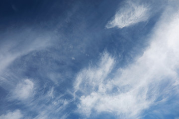 Naklejka na ściany i meble white clouds in a blue sky