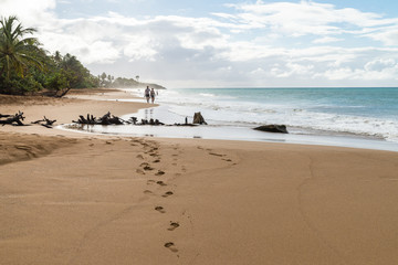Traces dans le sable - Plage de la Perle - Deshaies - Guadeloupe