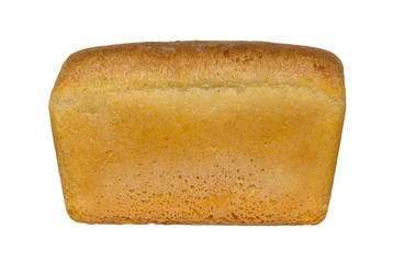 bread on white background