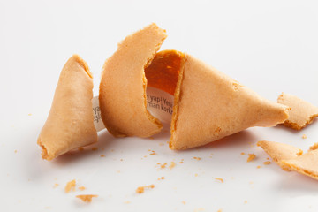 chinese cookie-fortune cookie
