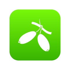 Barberry icon green vector isolated on white background