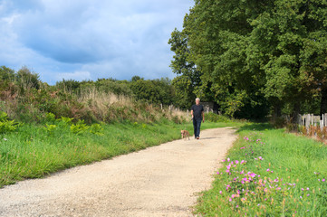 Obraz premium Man walking dog in nature