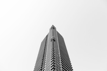 Skyscraper set against negative space in black and white