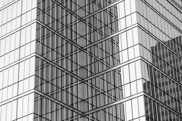 windows of modern building