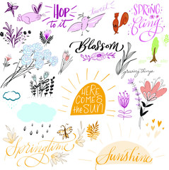 Fototapeta premium Happy Springtime Elements Spring Blossoms Spring Fling, Spring time sunshine