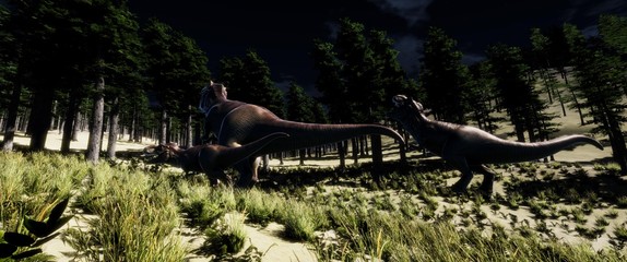 trex © Sasa Kadrijevic