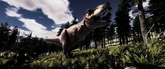 trex © Sasa Kadrijevic
