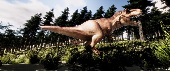 trex © Sasa Kadrijevic