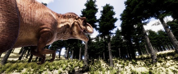 trex © Sasa Kadrijevic