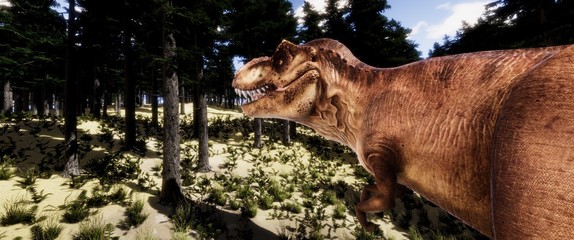 trex © Sasa Kadrijevic