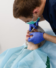 girl do plastic operation in medical clinic; doctor does lip augmentation surgery; injecting...