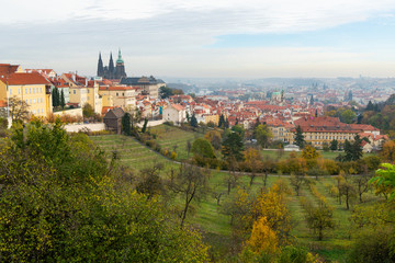 Obraz premium St. Vitus cathedral in Prague on a cloudy day in autumn