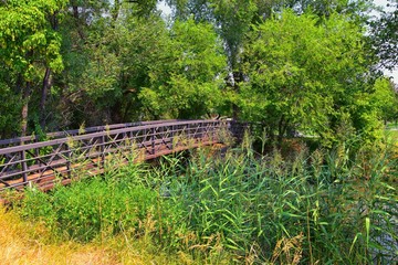 Fototapeta na wymiar Views of Jordan River Trail Pedestrian and Train Track Bridge with surrounding trees, Russian Olive, cottonwood and muddy stream along the Wasatch Front Rocky Mountains, in Salt Lake City, Utah.