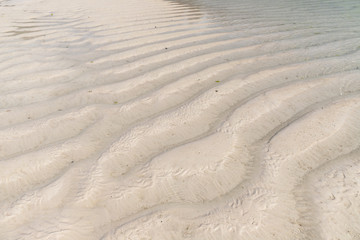 odpływ oceanu / Zanzibar © Mariola