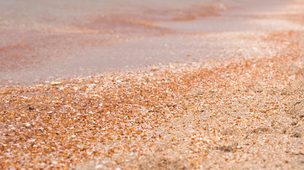 Fototapeta na wymiar Background. Golden sand on the seashore. Element for design.