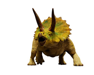 Triceratops horridus dinosaur, extinct prehistoric animal (3d render isolated on white background)