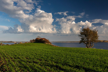 Aussichtspunkt Reddevitzer Hoeft, Insel Ruegen, Mecklenburg-Vorpommern, Deutschland, 01.11.2018 