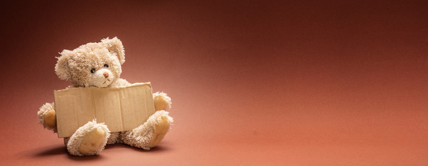 Poor homeless child begging. Teddy bear sad, holding a blank cardboard sign