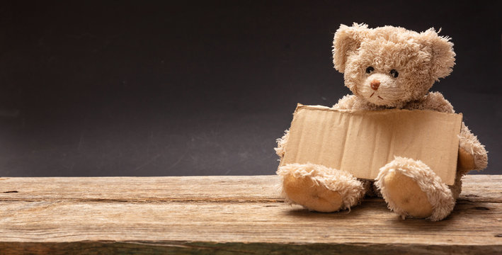 Poor Homeless Child Begging. Teddy Bear Sad, Holding A Blank Cardboard Sign